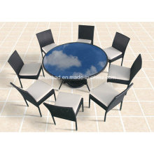 Round Dining Set for Outdoor with 8 Chairs / SGS (8214-8)